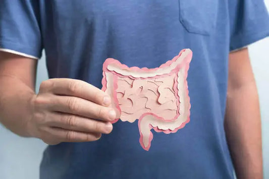 Best Probiotics for Men: Enhance Digestion, Immunity, and Overall Wellness