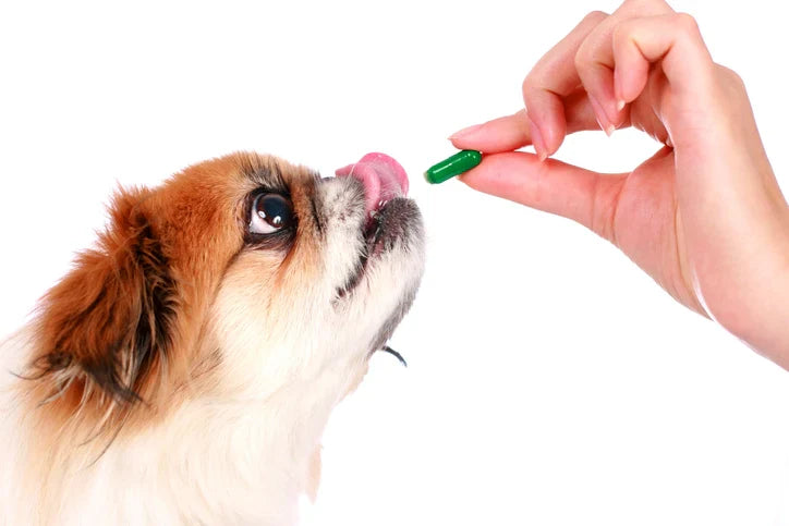 Need Compounded Medications for Pets?