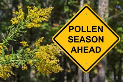 fall seasonal allergies