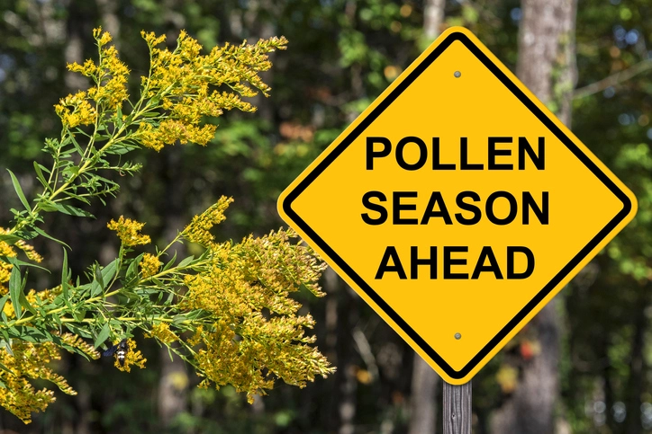 fall seasonal allergies