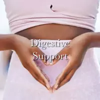 A picture representing the Digestive Support category.