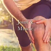 A picture representing the Joint & Muscle category.