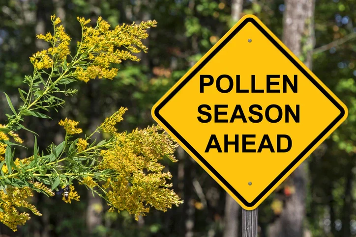 Fall Seasonal Allergies