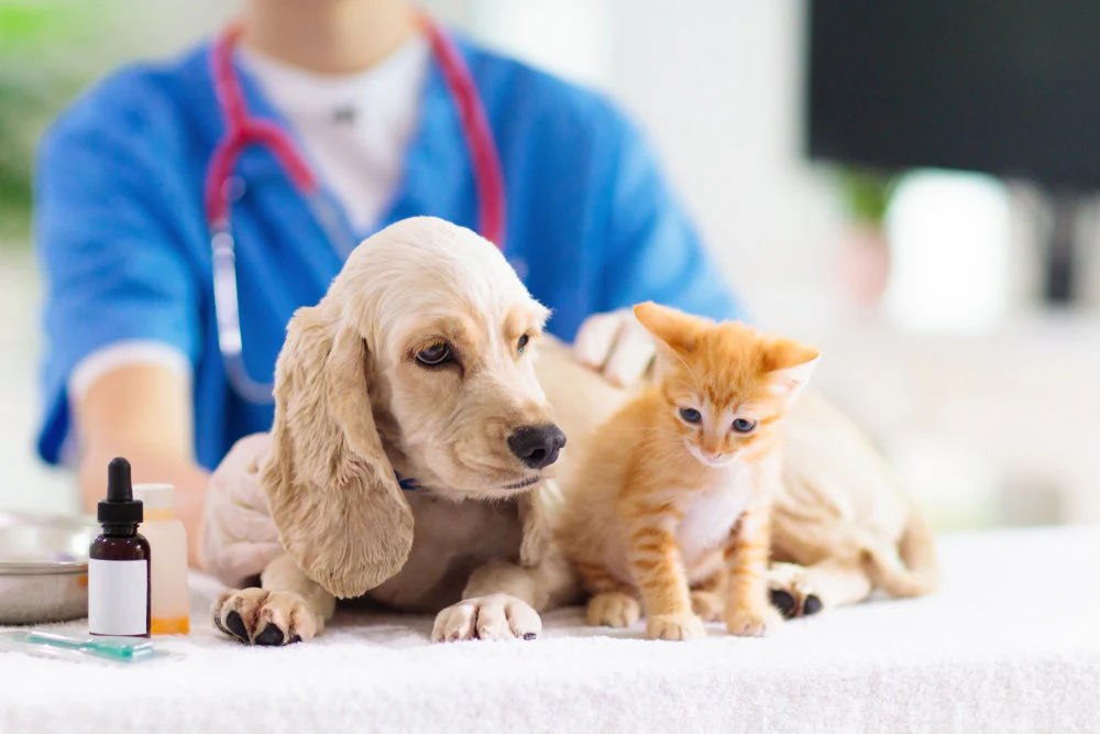 Pet Compounding Pharmacy